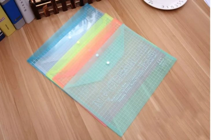 Plastic File Pocket Folder