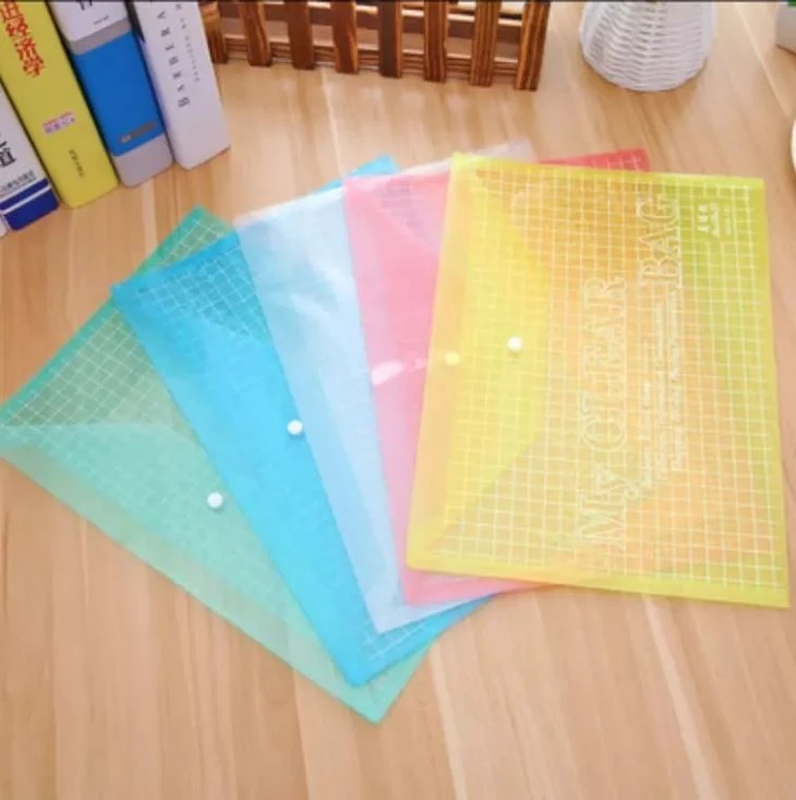 Plastic File Pocket Folder
