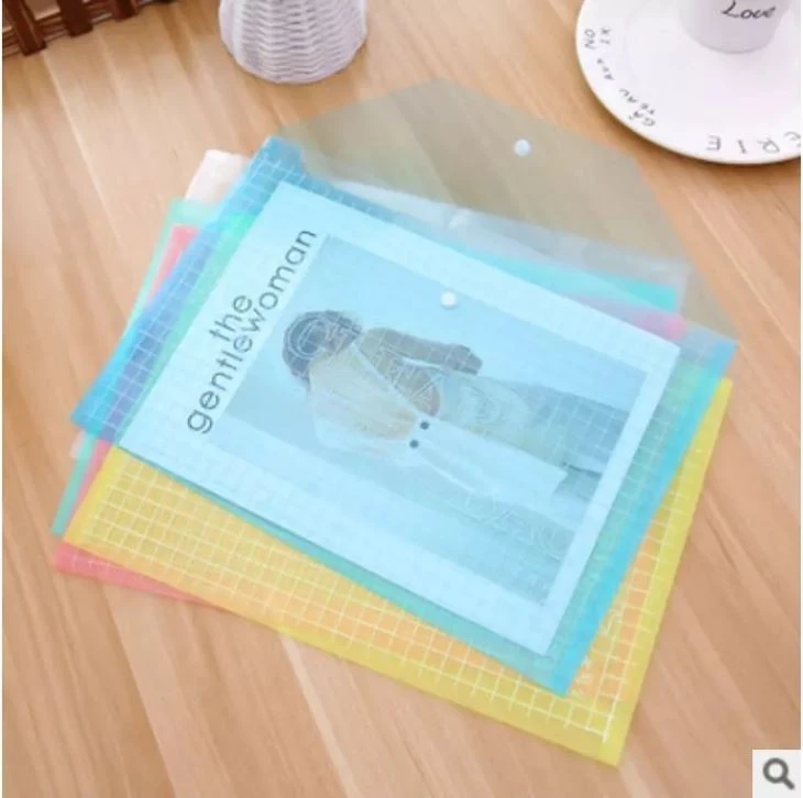 Plastic File Pocket Folder