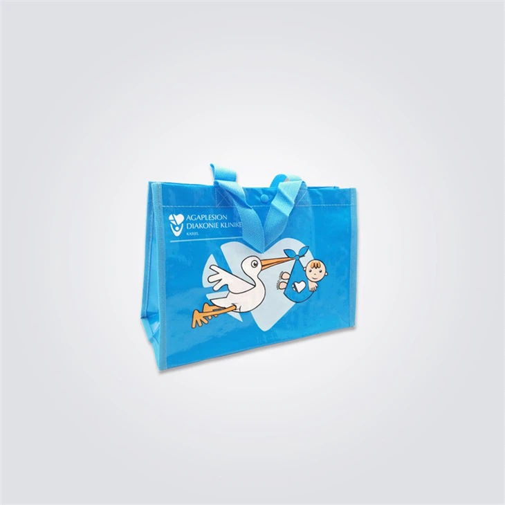 Custom Designed Popular Shopper Bag