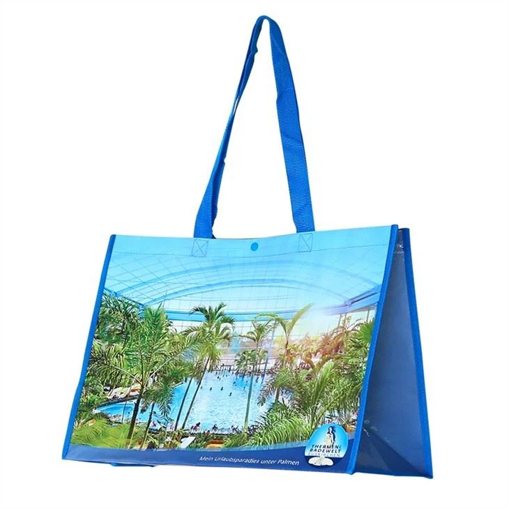 PP Woven Foldable Shopper BagS
