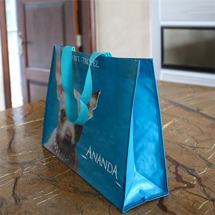 Reusable Shopping Bags
