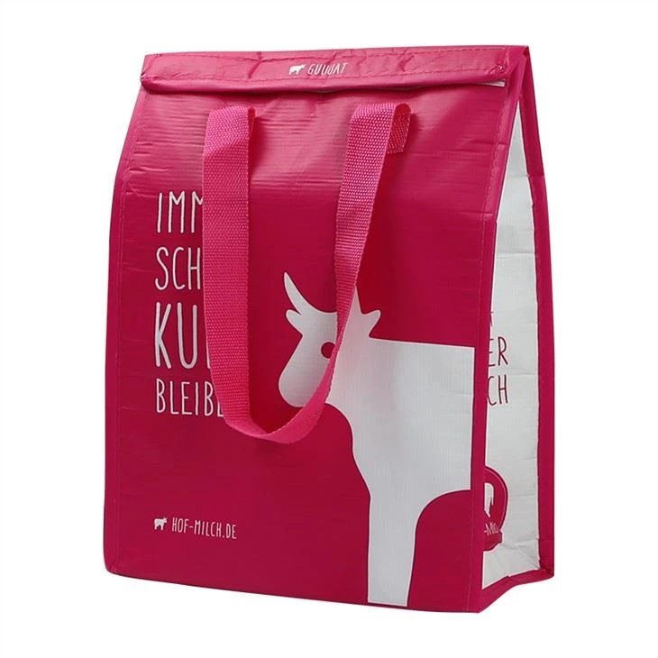 Eco Friendly Cooler Lunch Bag